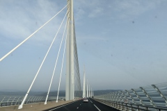 PXL_20220319_082956161