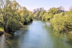 neckar06