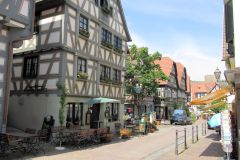 neckar202