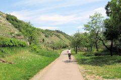 neckar206
