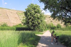 neckar210