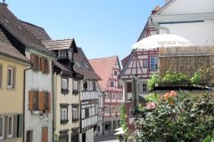neckar217