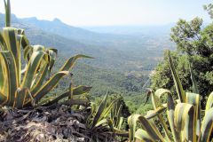 Sardinien_190
