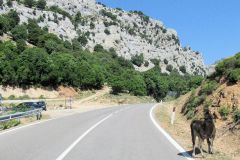 Sardinien_192