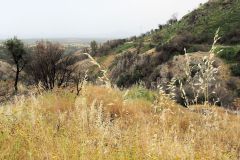 Sardinien_064